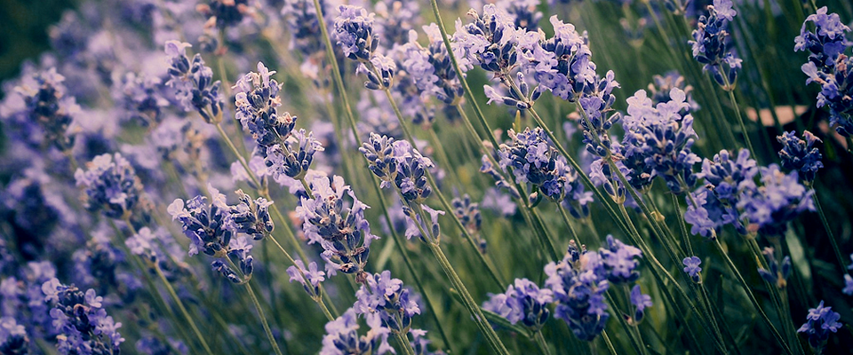 ddos在线压力测试平台